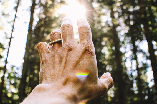Left hand with ring on ring finger reaching towards the sun with a forest background