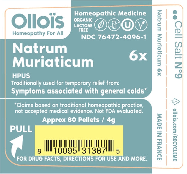 Cell Salt N°9 Natrum Muriaticum - The Oracle Alchemist