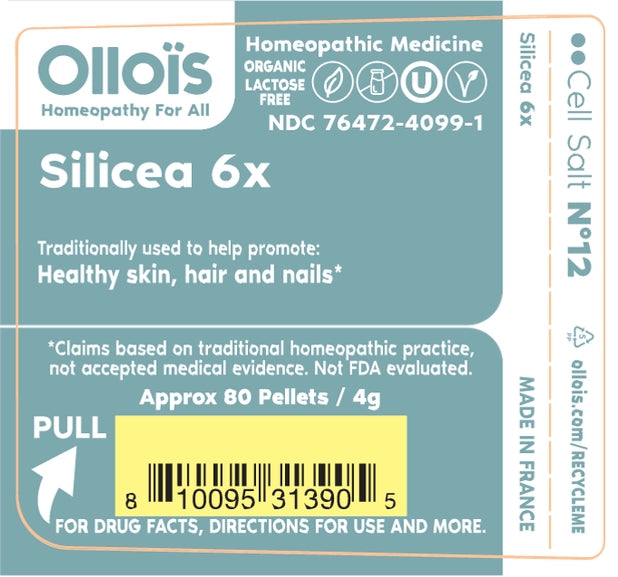 Cell Salt N°12 Silicea - The Oracle Alchemist
